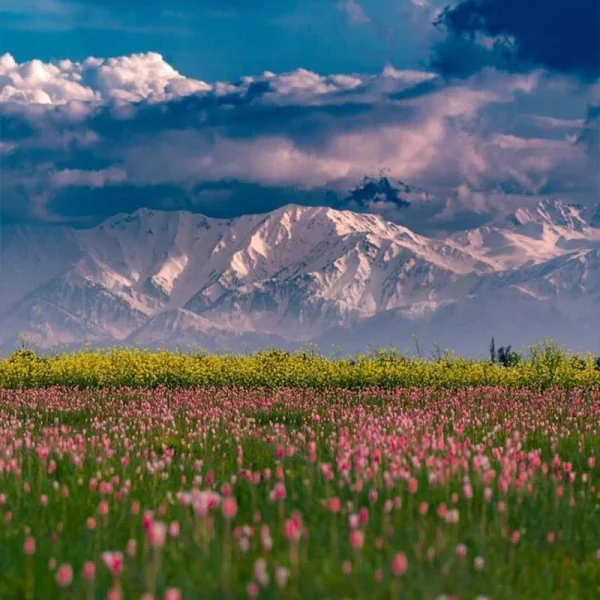 Skardu Valley Tour Packages