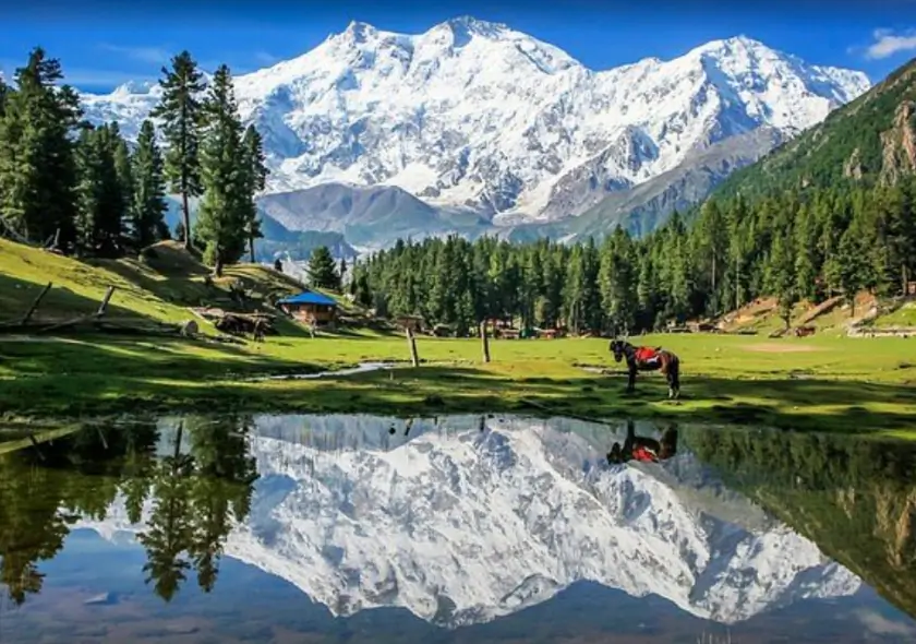 Fairy Meadows